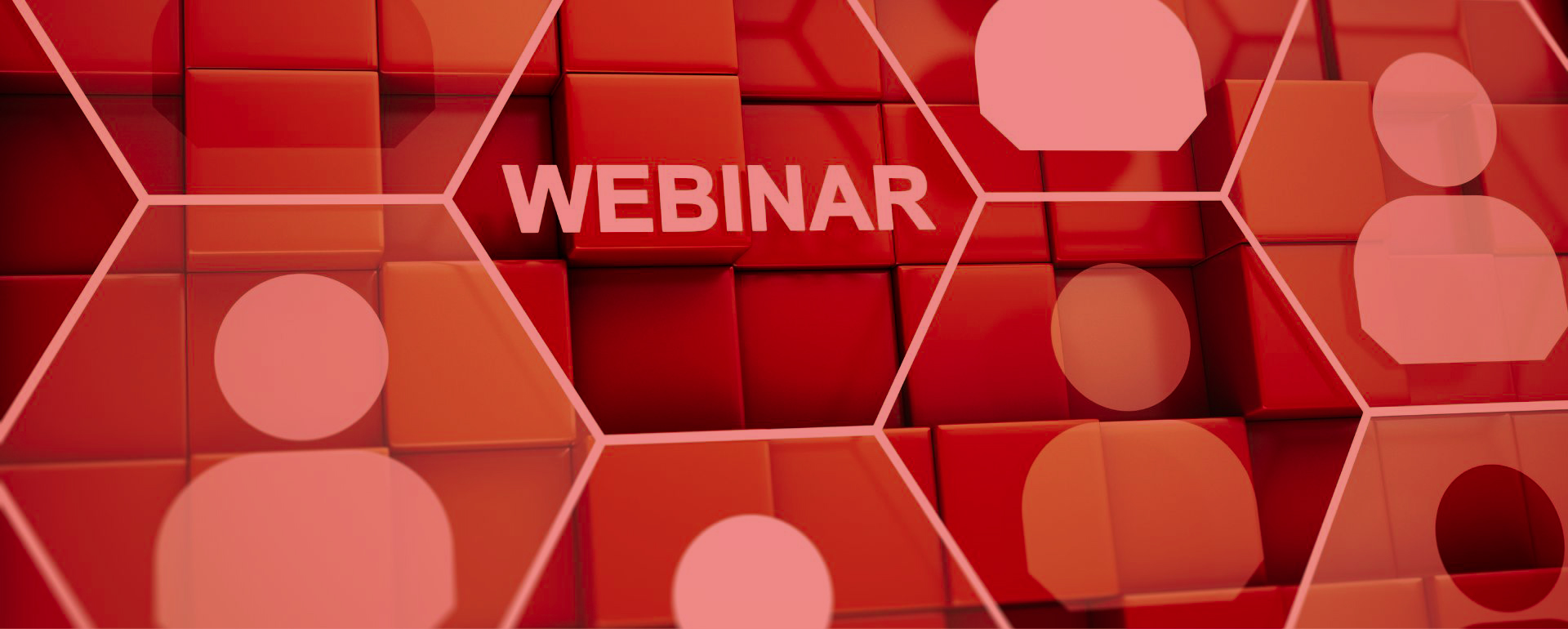Webinar to celebrate the World Day for Decent Work
