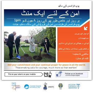 2015umpp_Urdu-Pakistan