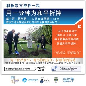 2015umpp_中国-Chinese