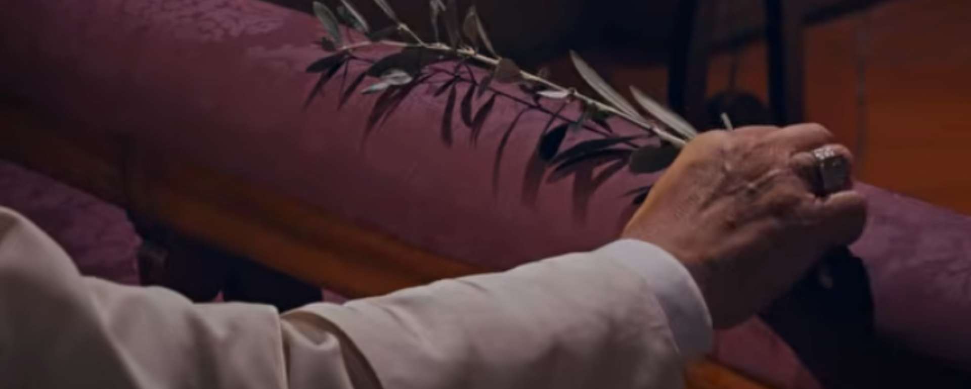 The death and pain caused by these wars is a scandal for the entire human family and a cry that rises to God!